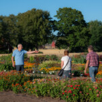 Björn visar för medlemmarna