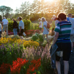 Medlemmarna i motljus