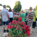 Gruppen njuter av blommorna